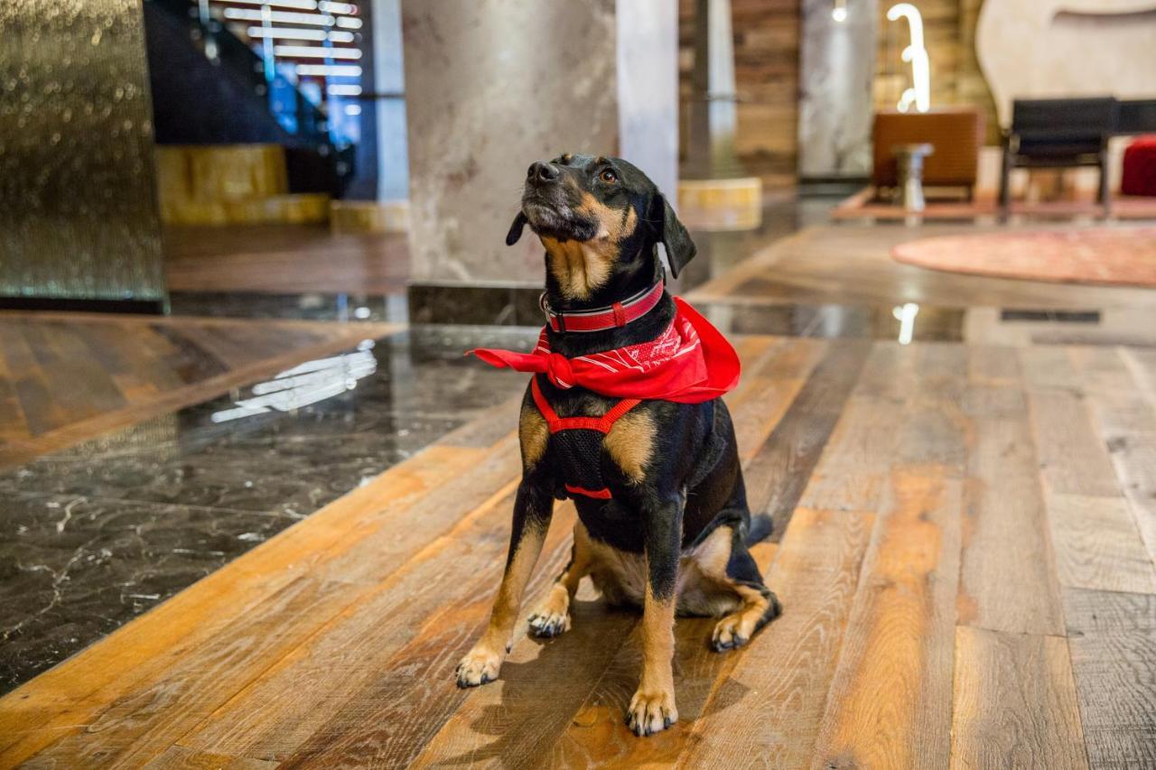 Bobby Hotel Нашвил Екстериор снимка